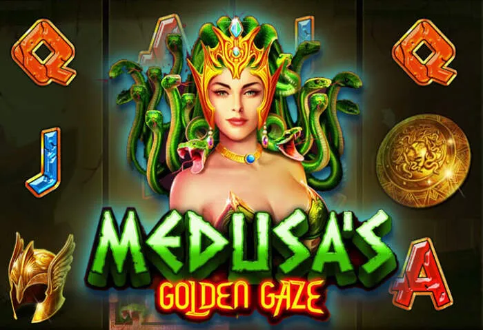 Area utente Palm Treasures Casino: login e sicurezza password