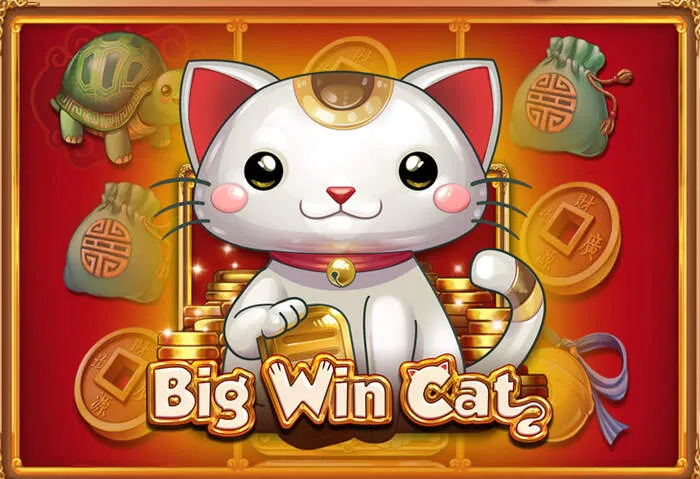 Premium Softwareanbieter für Palm Treasures Casino Spielauswahl und Softwareanbieter.